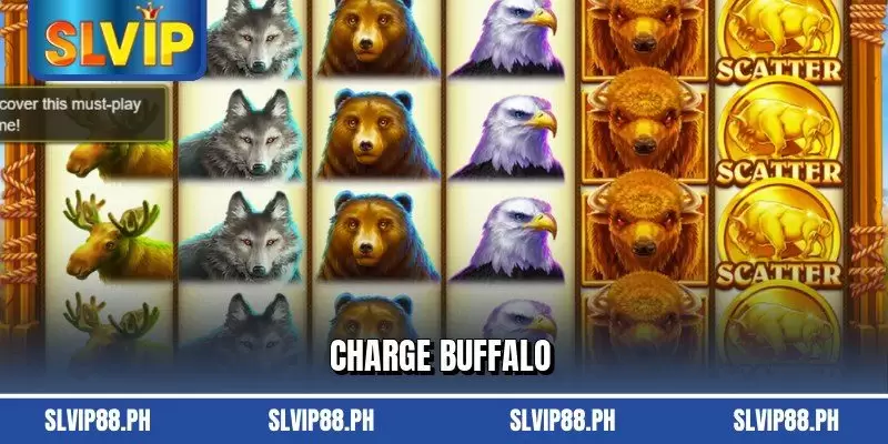 Charge Buffalo