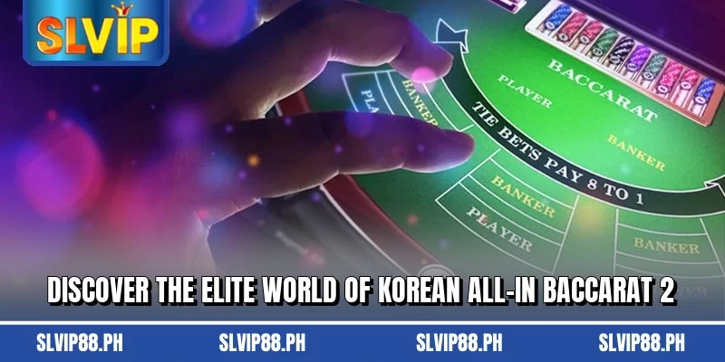 Discover the elite world of Korean All-In Baccarat 2