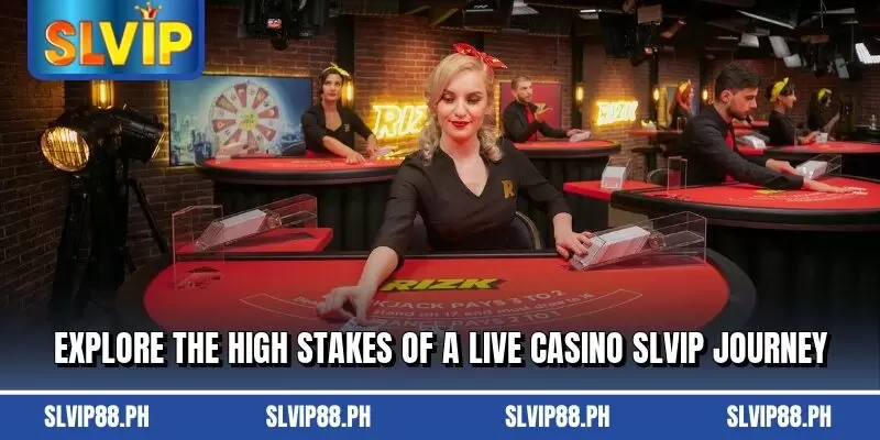 Explore the high stakes of a Live Casino SLVIP journey