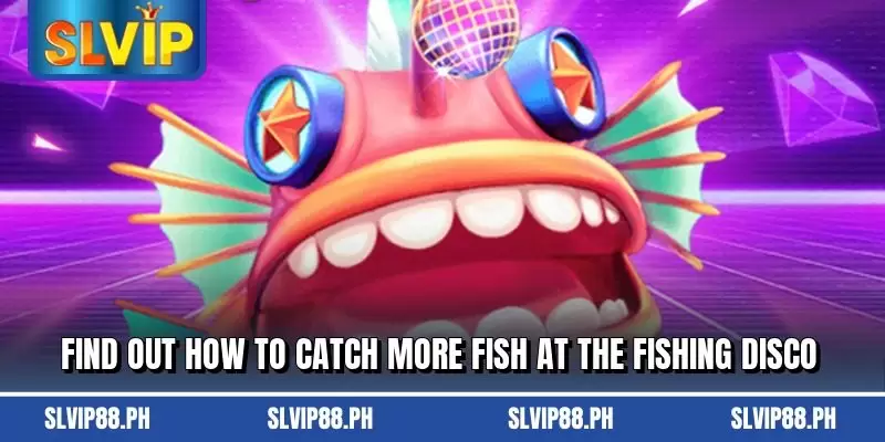 Find out how to catch more fish at the Fishing Disco