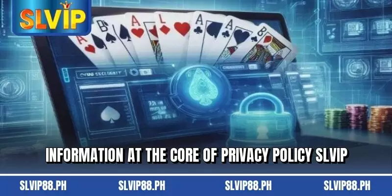 Information at the core of privacy policy slvip