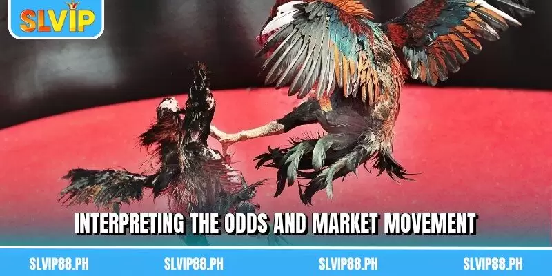 Interpreting the odds and market movement