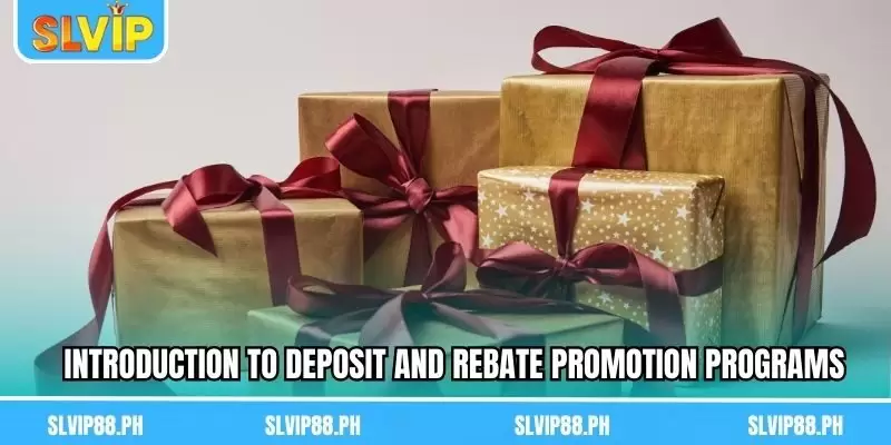 Introduction to deposit and rebate Promotion programs