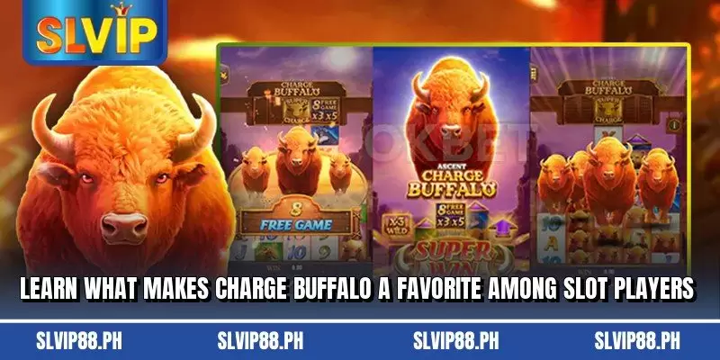 Learn what makes charge buffalo a favorite among slot players