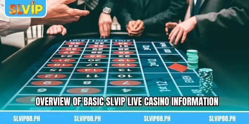 Overview of basic Live Casino SLVIP information