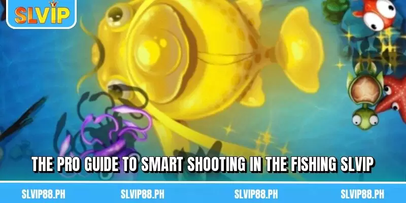 The pro guide to smart shooting in the Fishing SLVIP
