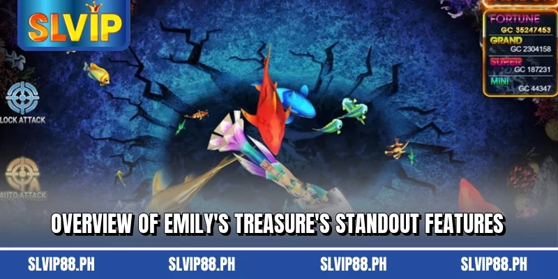 Overview of Emily’s Treasure’s standout features